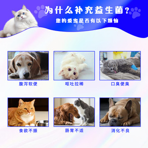 宠物益生菌猫咪狗狗调理肠胃助消化鑫大明猫狗专用活性益生菌