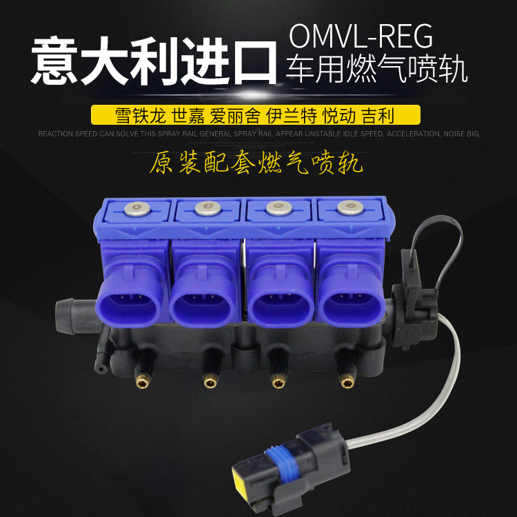爱丽舍雪铁龙比亚迪原装进口OMVL天然气cng汽车喷轨燃气喷轨包邮