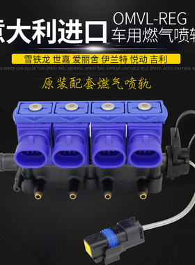 爱丽舍雪铁龙比亚迪原装进口OMVL天然气cng汽车喷轨燃气喷轨包邮