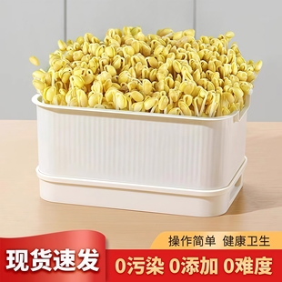 食品级家用豆芽发芽专用盆大号育苗盘大容量水培种植豆芽罐黄绿豆