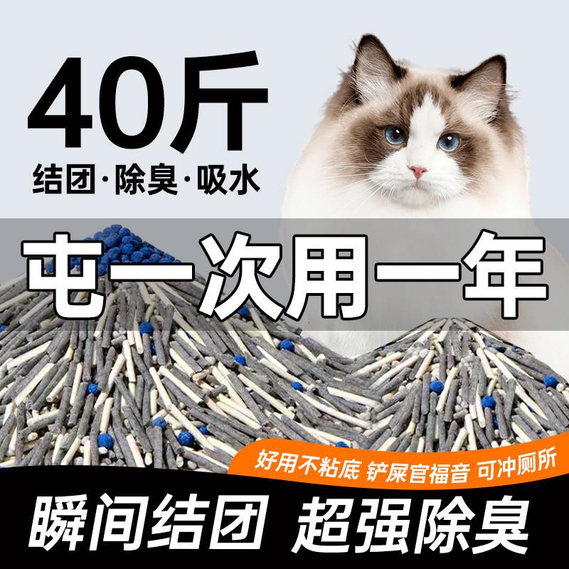 日本正品活性炭猫砂豆腐砂