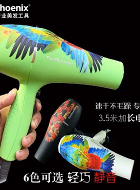 火之凤吹风机发廊专用大功率理发店静音轻巧专业造型鹦鹉蛇5600A