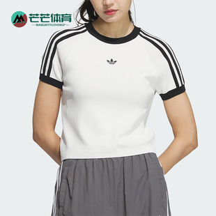 针织短袖 Adidas 修身 三叶草女士新款 T恤JI7049 阿迪达斯正品