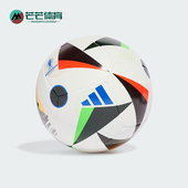 TRN 休闲运动EURO24 德国欧洲杯用足球IN9366 阿迪达斯正品 Adidas
