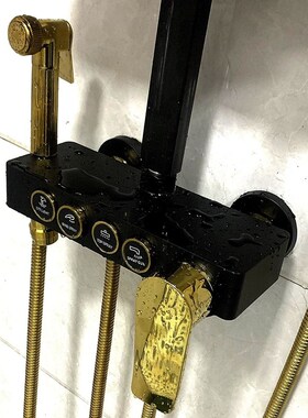 豪华浴室增压花洒洗澡神器按键花洒龙头淋浴家用恒温精铜黑金喷头