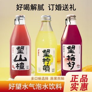 好望水望山楂望柠檬望梅好果汁气泡水送礼订婚宴周岁礼碳酸饮料