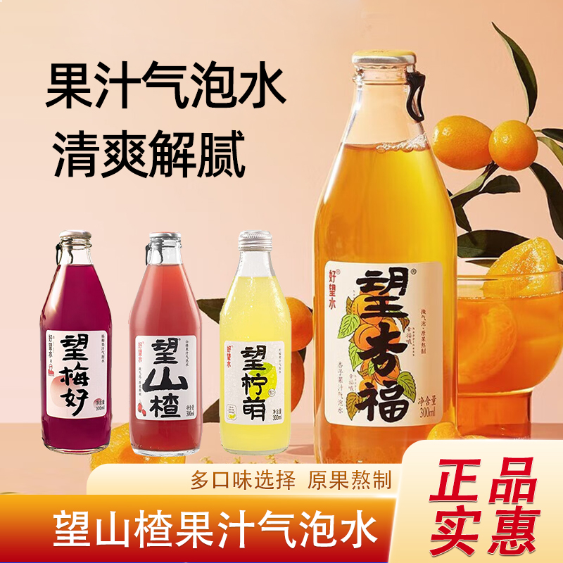好望水望山楂果汁气泡水300ml