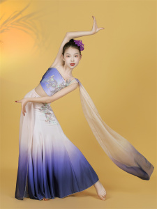 新款儿童傣族舞蹈演出服女童傣族服装孔雀舞鱼尾裙少儿民族表演服