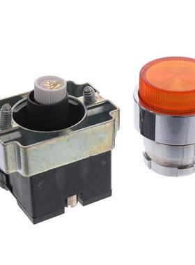 2ALP5LB-110 | 2AM8 | 2AMLKB4