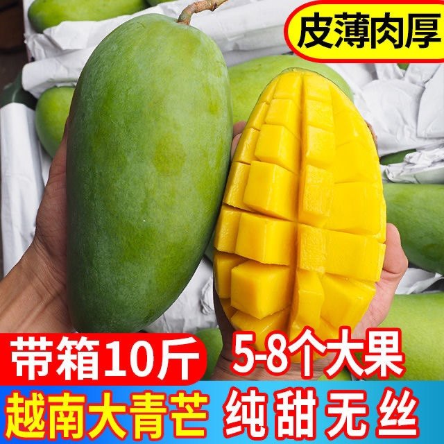 越南青皮芒果10斤整箱当季现摘新鲜大芒果热带水果金煌甜心芒包邮
