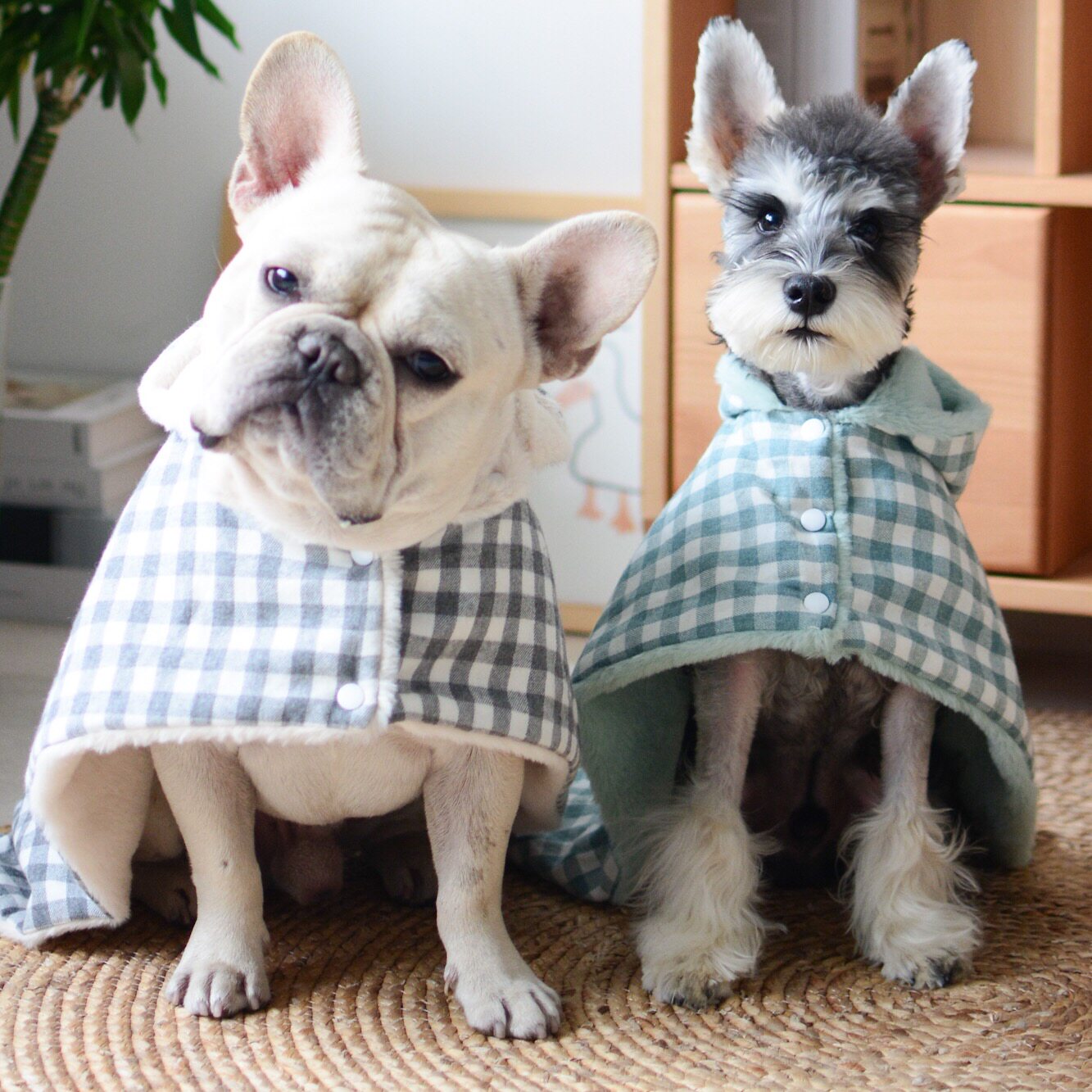 狗狗睡袍冬天保暖睡垫柔软帽子披风猫咪毯子睡袋小被子加绒宠物毯,宠物/宠物食品及用品,猫狗垫子,淘宝优惠券,粉丝福利购,淘宝优惠卷