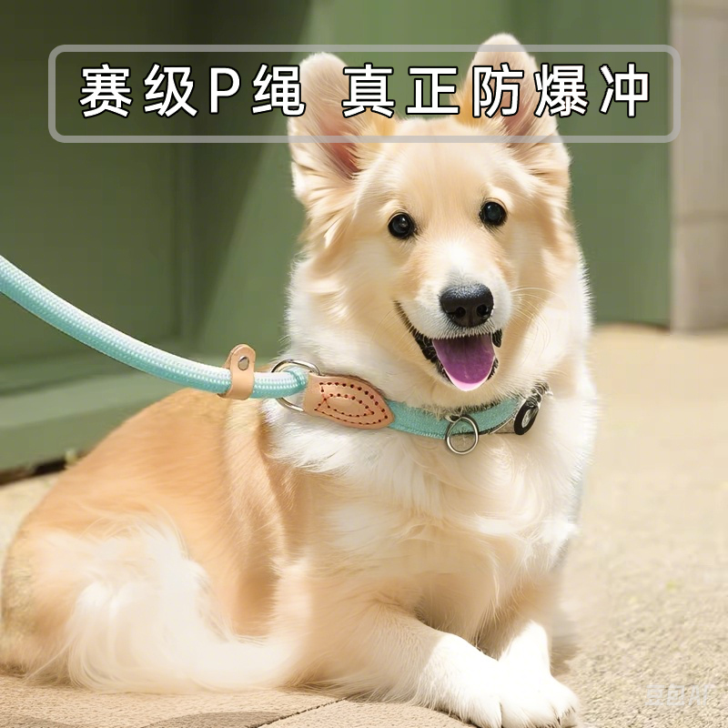 狗狗牵引绳P绳防爆冲防挣脱