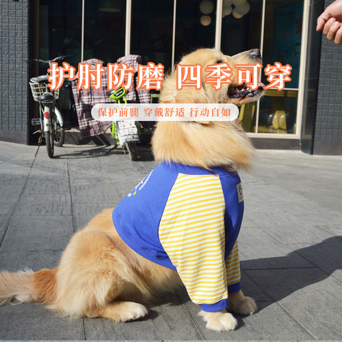 狗狗秋冬护肘衣关节防磨防脏护膝