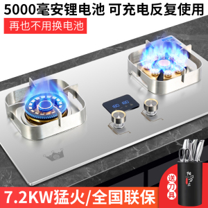 皇冠燃气灶加厚纯不锈钢面板双灶天燃气大火力定时猛火灶WGDQ K1