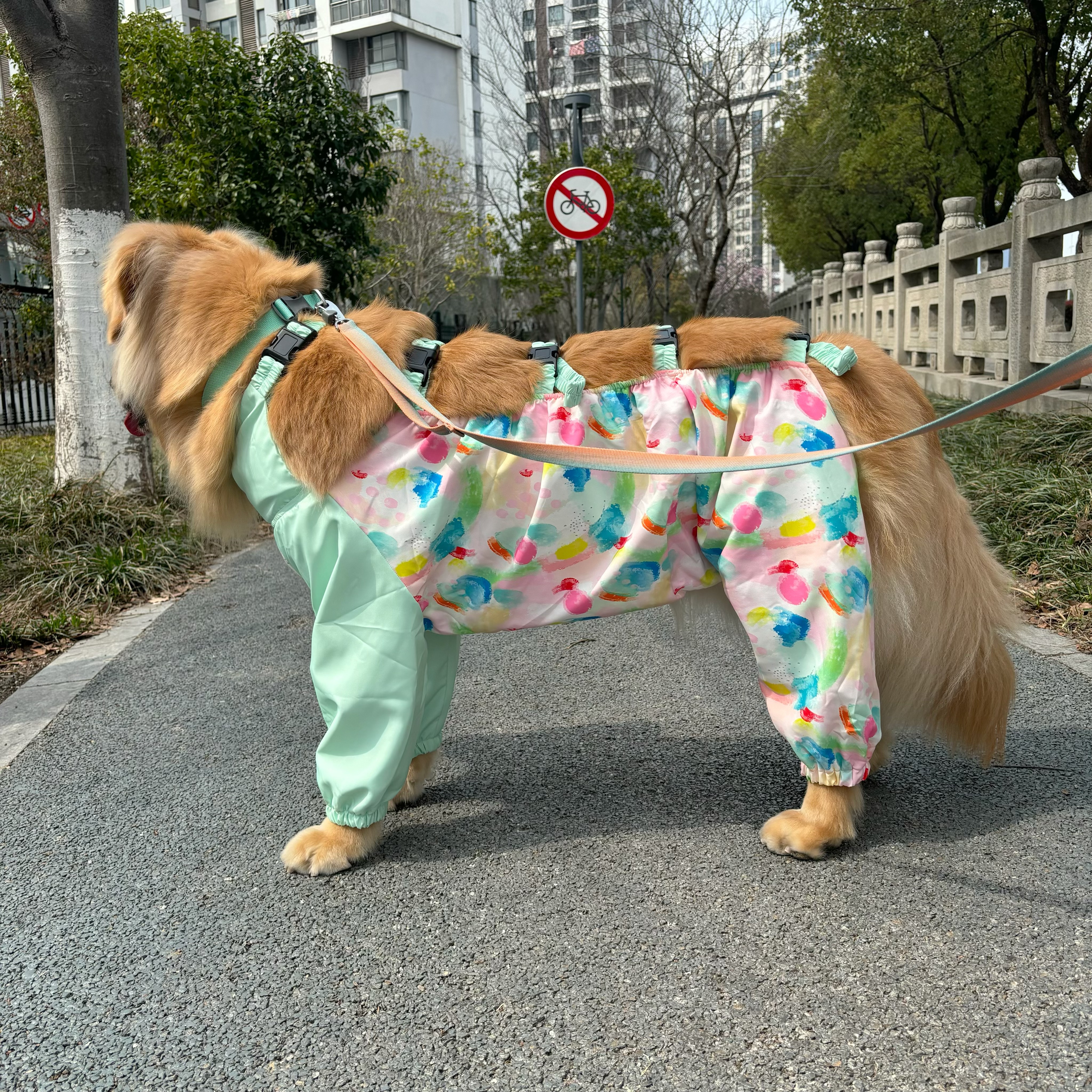 【Max橙小西】免费定制宠物防尘防水防护服护肚衣雨衣比熊萨摩耶