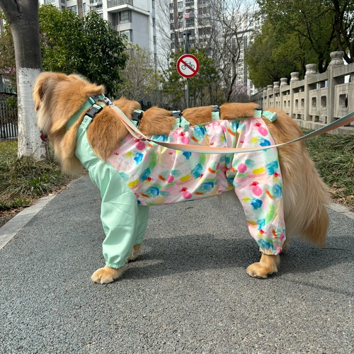 防尘防水防水破卡Trihomie狗狗