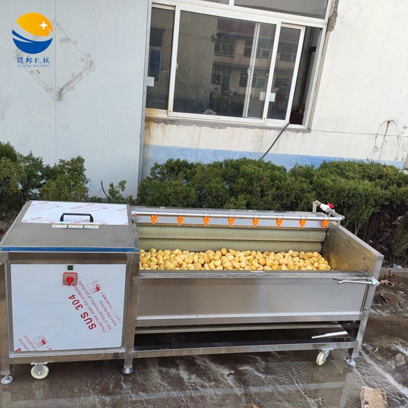 不锈钢80型党参清洗设备 毛刷式洗人参机器 厂家全自动黄精清洗机,清洗/食品/商业设备,果蔬加工设备,淘宝优惠券,粉丝福利购,淘宝优惠卷