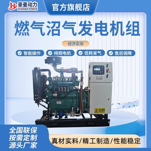15KW沼气发电机组生物制气油田伴生气石油液化气20千瓦燃气发电机