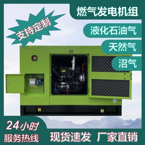 厂家供应 100KW200kw300KW天然气发电机组LPG发电机组 热电联产