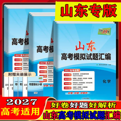 高考总复习必刷卷试卷山东模拟题