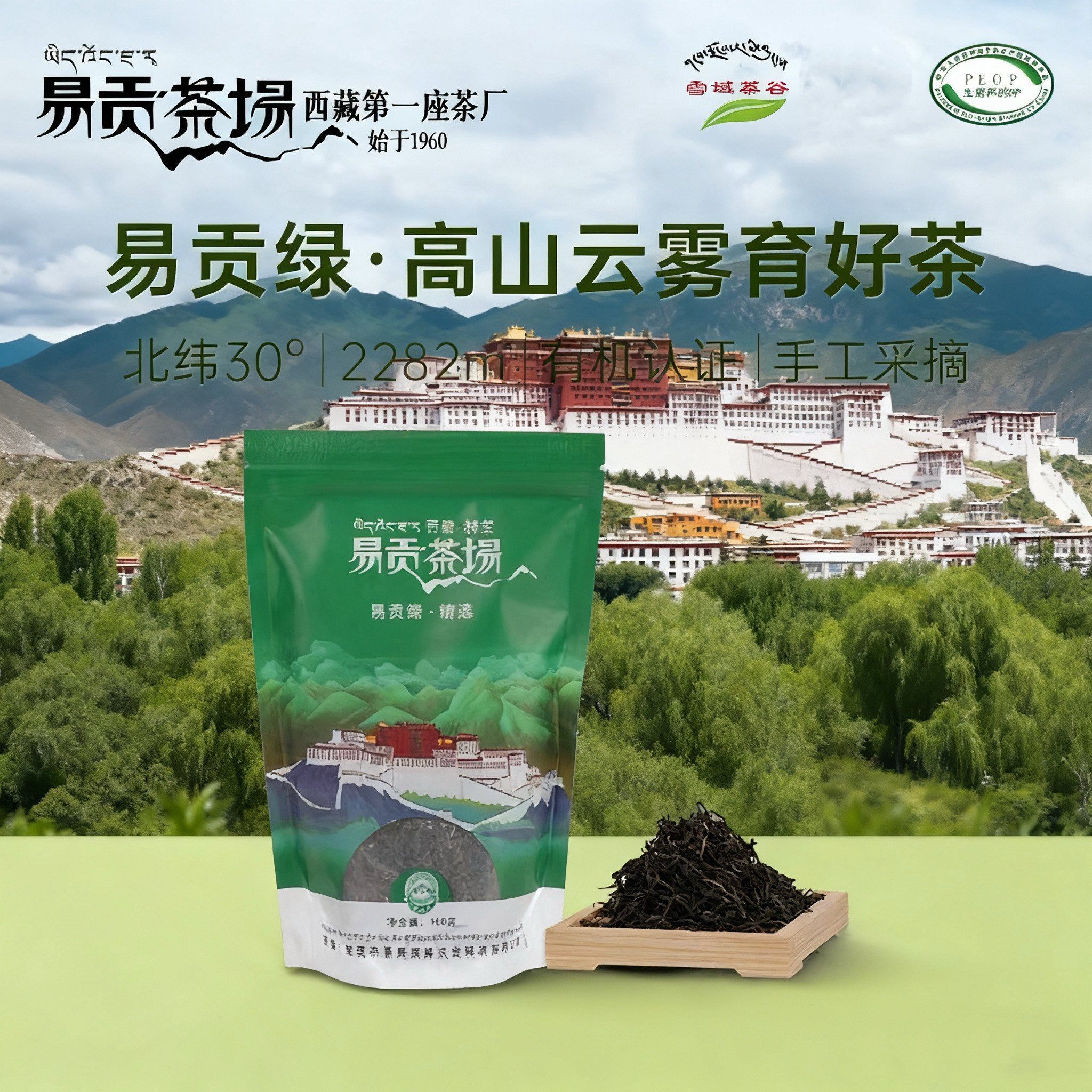 易贡茶场2026年新茶易贡绿精选绿茶 100g袋装精品茶 雪域高山好茶