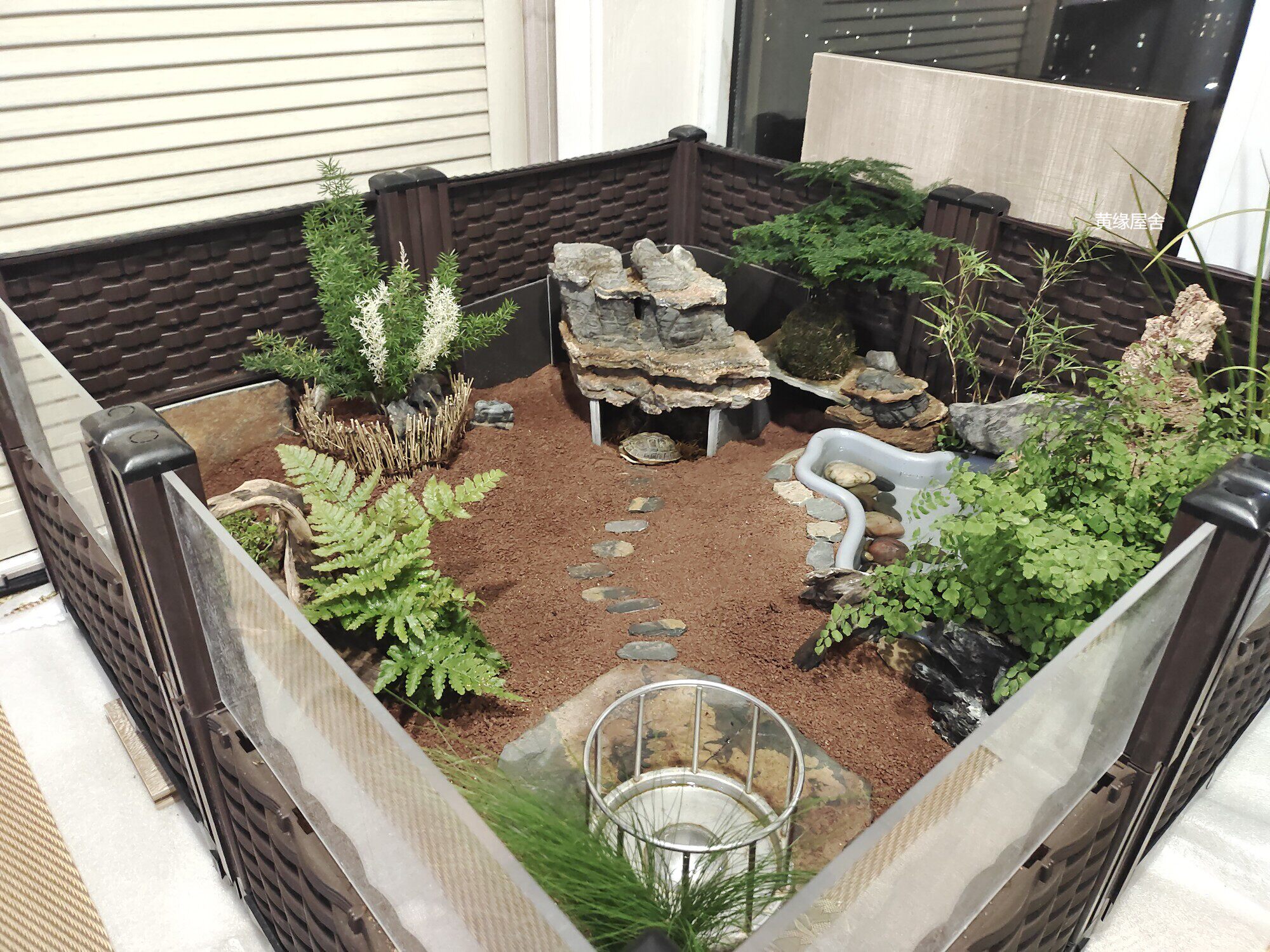 黄缘养殖箱龟池甲鱼黄缘龟陆龟半水龟缸透明安缘台缘龟乌龟饲养箱