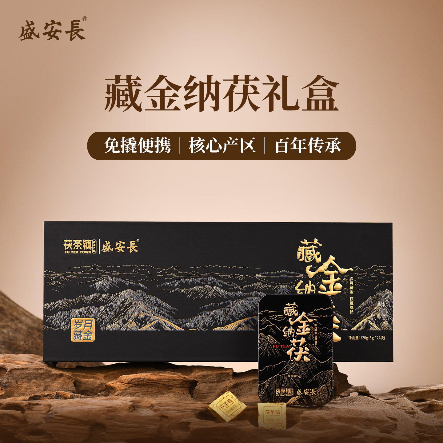 拍1发2泾阳茯茶小金砖礼盒120g