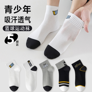 短袜青少年运动篮球大码 全棉防臭吸汗薄款 透气棉袜 薄款 袜子男夏季