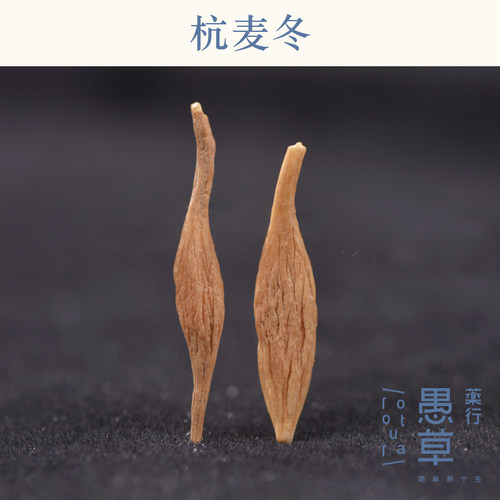【愚草】杭麦冬 浙江杭麦冬 麦门冬 道地药材 250g/袋