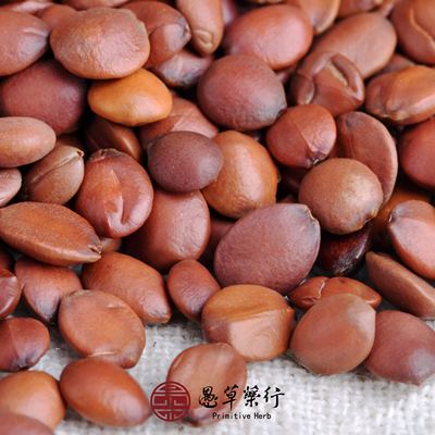 【愚草】野生酸枣仁中药材 河北产山枣核山棘仁250g/包
