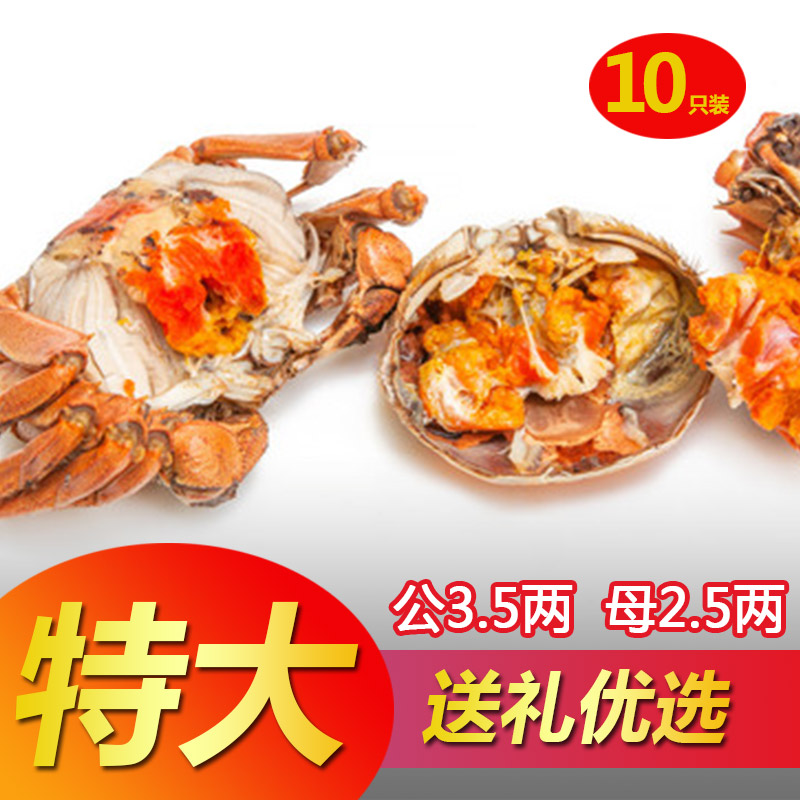 现货苏州阳澄湖镇大闸蟹鲜活螃蟹特大公蟹3.5两可全母2.5两10只|ruв категории водной мясо/свежие фрукты и овощи/еда, морепродукты/водные продукты/изделия, краб, краб - от Buy2taobao.com для оказания профессиональной услуги покупки агента Taobao
