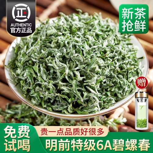 头采6A碧螺春2026新茶特级嫩芽