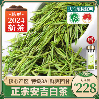 安吉白茶2024年新茶特级正宗明前绿茶散装茶叶旗舰店500g官方正品