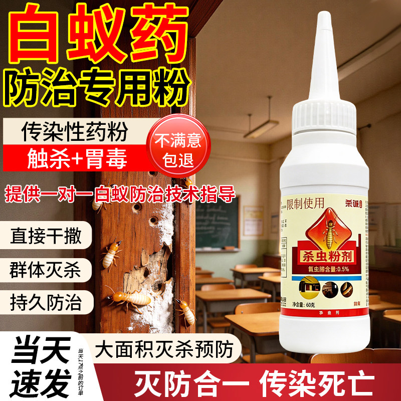 荣诚学校教室内灭白蚁药杀虫粉剂