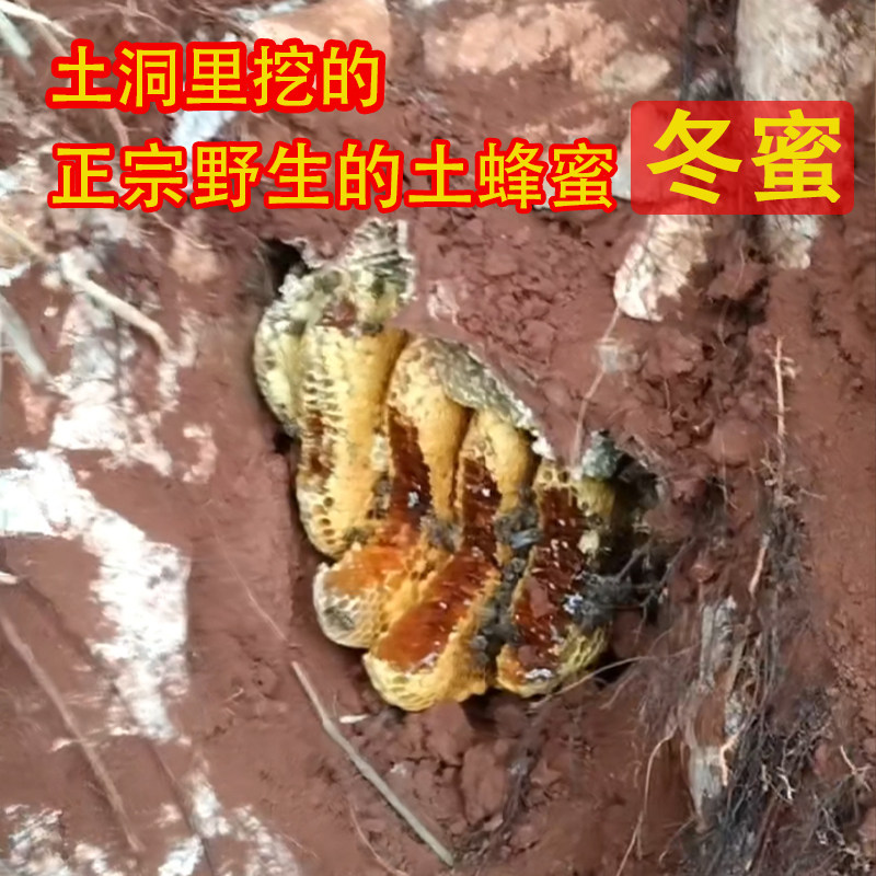 2025年冬蜜 正宗野生蜂巢蜜纯土蜂蜜云南特产纯正天然百花蜜礼盒