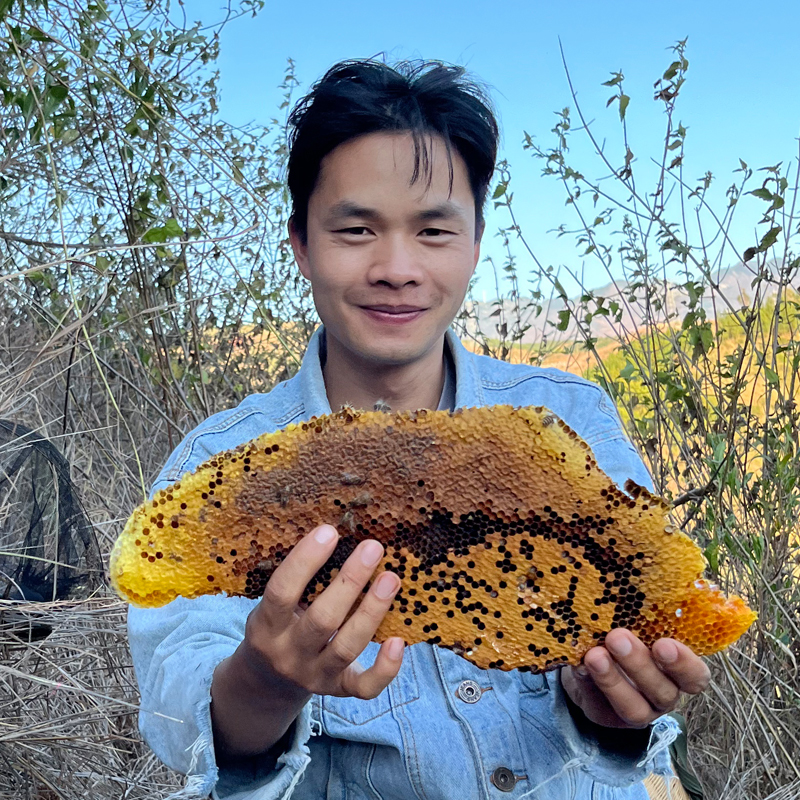 2025年的冬蜜上市！中蜂蜜土蜂蜜  云南高原土洞蜜1斤百花蜂巢蜜