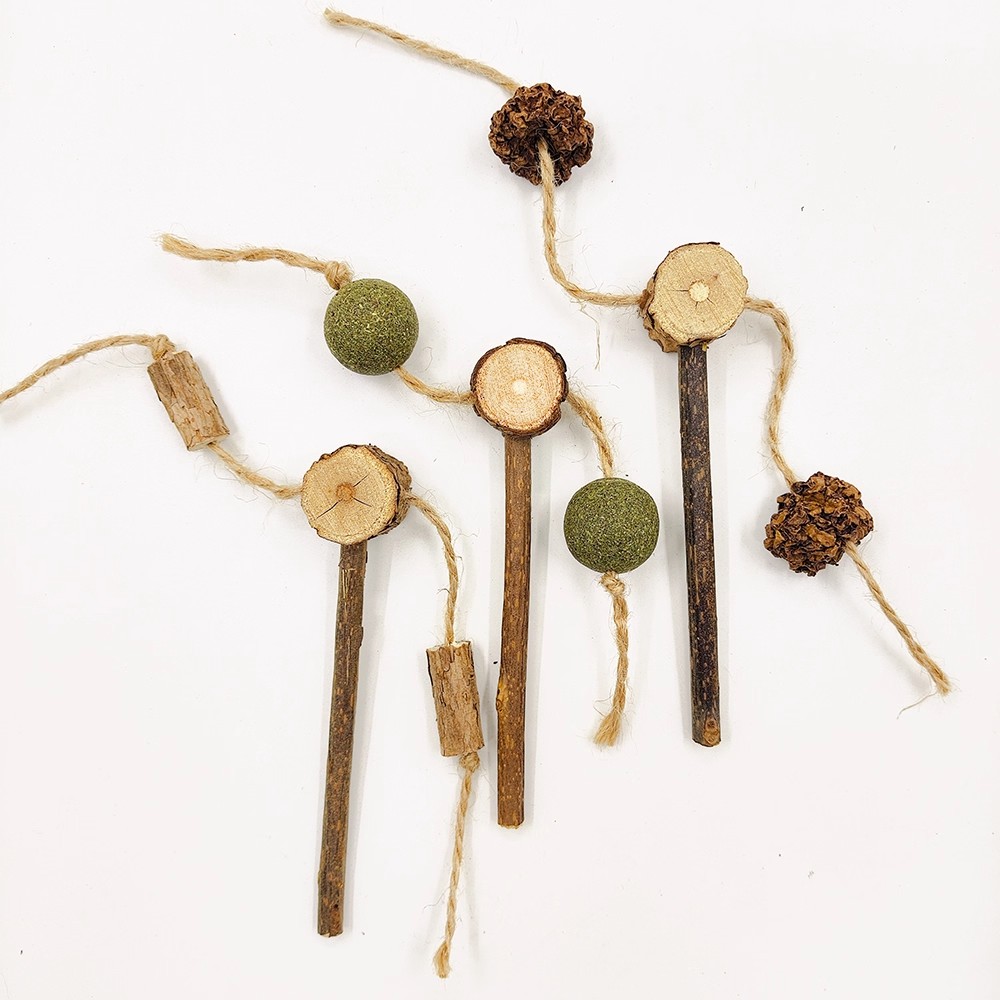 幼猫狩猎啃咬磨牙木质