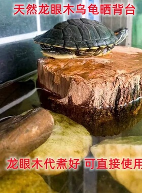 乌龟免煮龙眼木晒背台天然沉木水族鱼缸造景艺术摆件沉木休息台