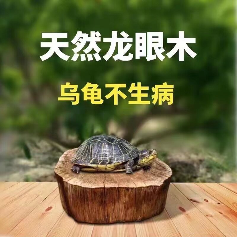 乌龟晒背爬台天然龙眼木造景沉木