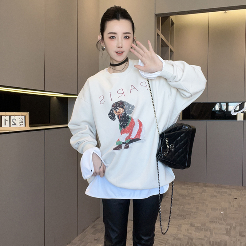 卫衣女2025秋季新款欧洲站设计师款卡通小狗字母印花圆领长袖上衣