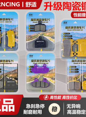 九号E80cMk2 E125MK2 E150MK2 E200PMK2 E300PMK2 前后轮刹车片皮