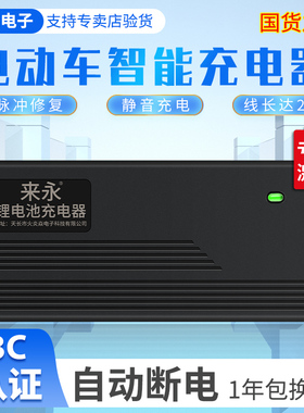 锂电池充电器48V2A3A54.6V13串三元5A8A10大功率星恒锂电雅迪通用