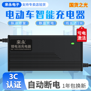 锂电池充电器48V2A3A54.6V13串三元 5A8A10大功率星恒锂电雅迪通用