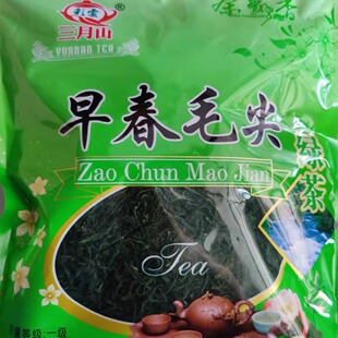 早春毛尖 绿茶 云南普洱毛尖 家庭实惠大袋装350克云南大叶茶