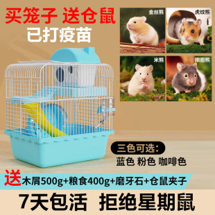 小仓鼠活物送笼子仓鼠活宠买笼子送一只仓鼠活体带笼子金丝熊宠物