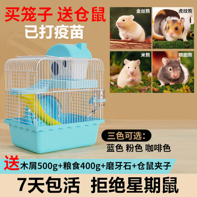买笼子送仓鼠活物金丝熊宠物