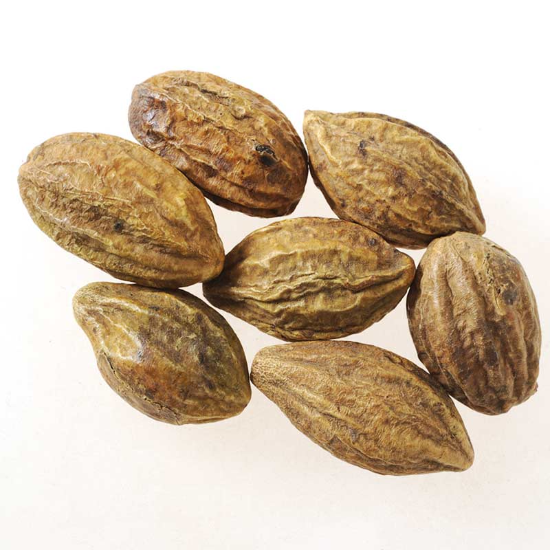 诃子中药材柯子 别名诃黎勒,诃黎,诃梨,随风子 500g克包邮