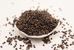 中药材苘麻子 茼麻籽 冬葵子、青麻、葵子、白麻 500g克包邮