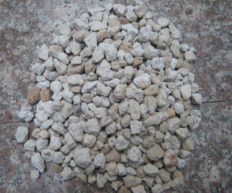 中药材海浮石 浮海石 水泡石 浮水石 白浮石500g克包邮