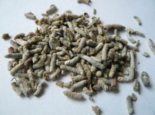 中药材白丁香雀苏 麻雀粪 青丹雄家雀粪  雀苏免费打粉500g克包邮